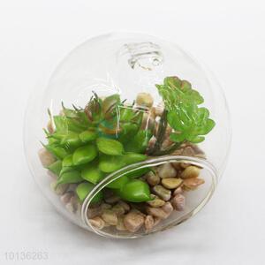 Artificial Succulent Plants with Glass Pot