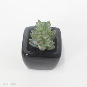 Delicate artificial plant pot succulent pot