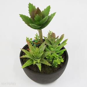 New Ornamental Artificial Succulent Plants with Ceramic Pot Desk Decoration