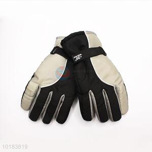 Wholesale Supplies Warm Gloves Ski Gloves