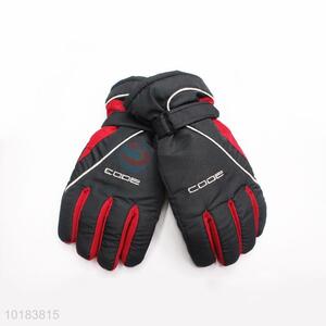 Competitive Price Warm Gloves Ski Gloves