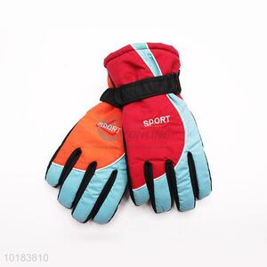 Beautiful Warm Gloves Ski Gloves