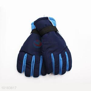 Factory Direct Warm Gloves Ski Gloves
