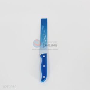 Household Stainless Steel Fruit Knife with Plastic Handle