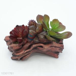 High sales popular design simulation succulent plants