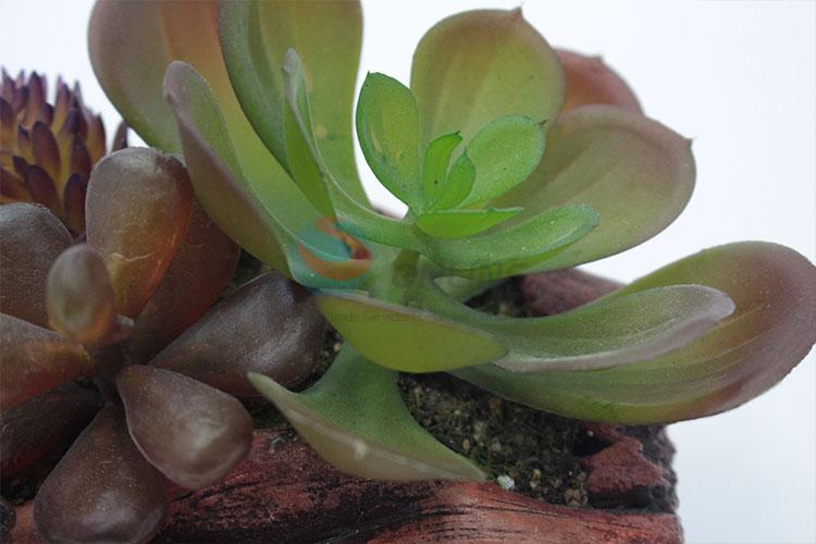 High sales popular design simulation succulent plants