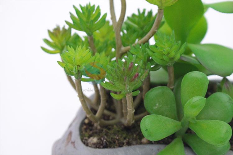 Nice classic cheap simulation succulent plants