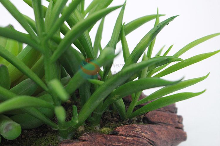 Best Selling Artificial Succulent Plants Home Decoration