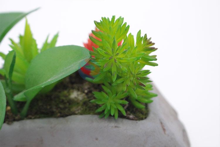 Promotional stone shape succulent plant pot