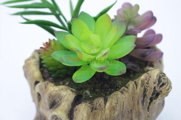 Popular stump modelling flowerpot fleshy potted plants