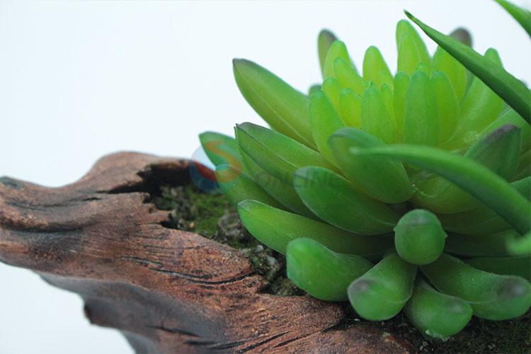 Best Selling Artificial Succulent Plants Home Decoration