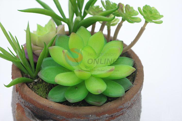 Fashion artificial succulent plant pot round flowerpot with 2 ears