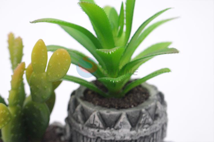 Reasonable Price fake succulent plants/simulation plant