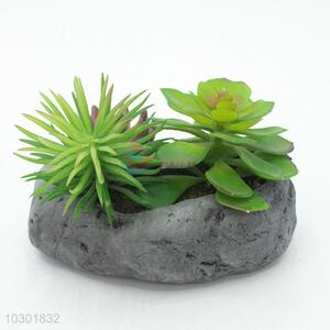 Promotional simulation succulent plants