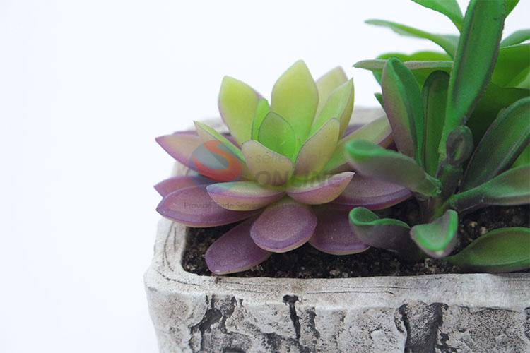 Top selling simulation succulent plants