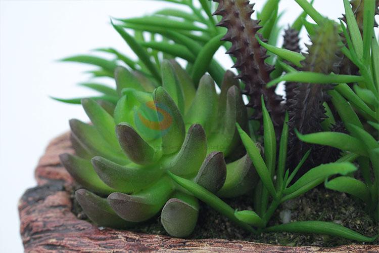 Popular Plastic Succulent Plant Ornamental Plants