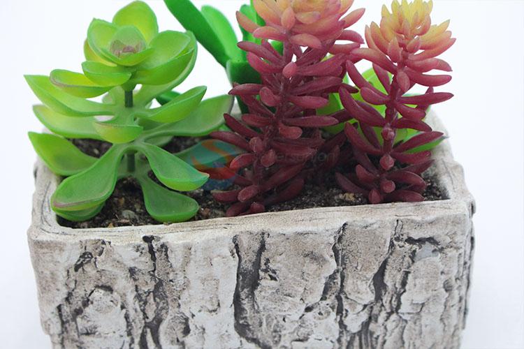 Best selling simulation succulent plants