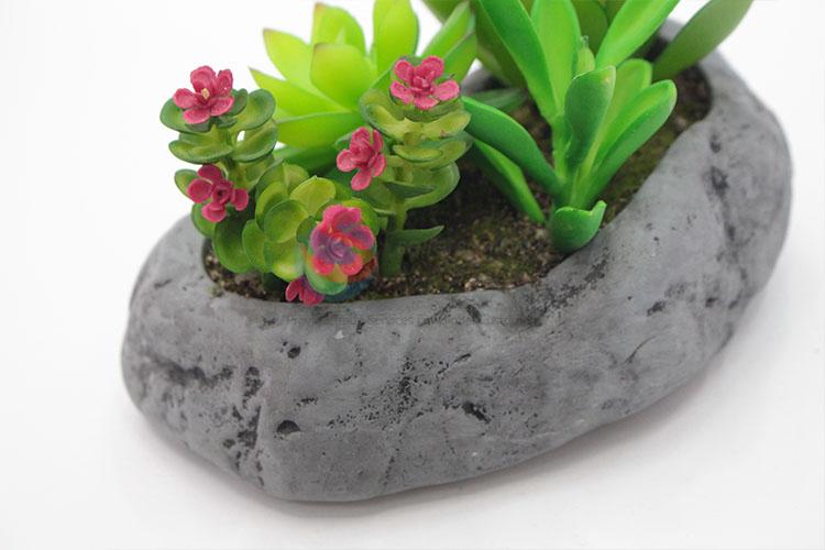 Popular promotional simulation succulent plants