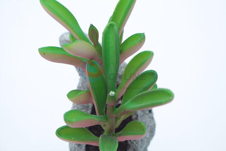 Hot sale simulation succulent plants