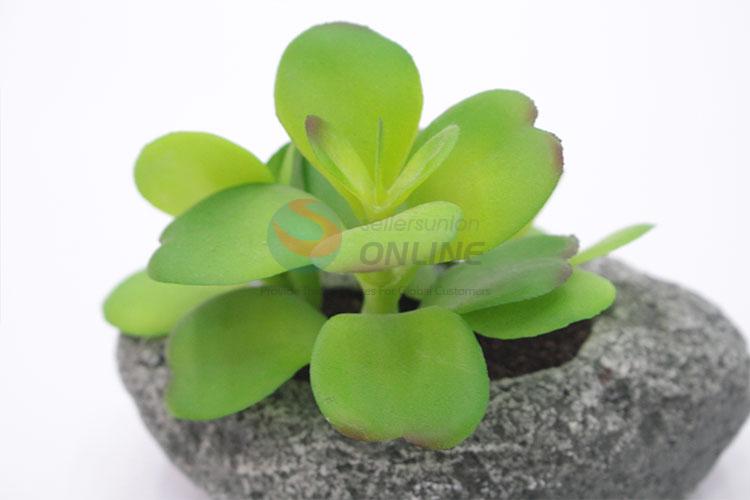 Fancy cheap top sale simulation succulent plants