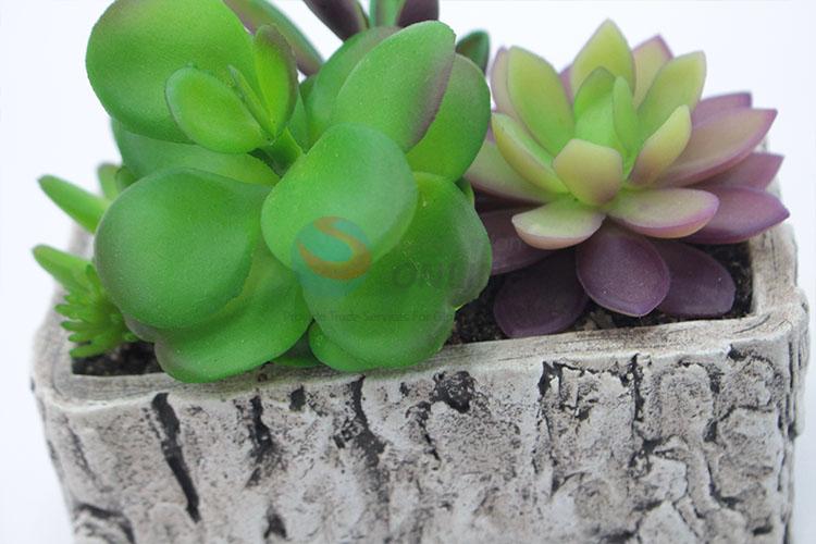 Top selling simulation succulent plants