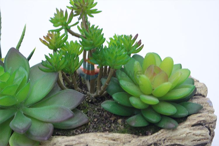 Lovely Plastic Succulent Plant Ornamental Plants