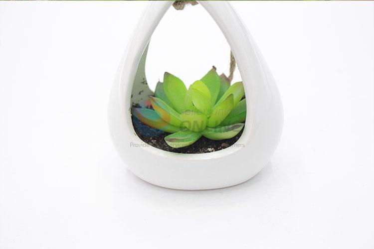 High quality Suspensible simulation succulent plants