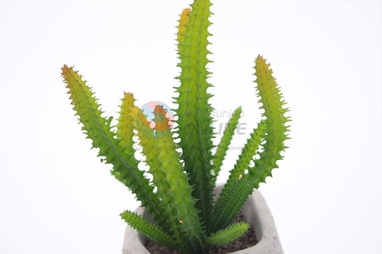 Comfortable Plastic Succulent Plant Ornamental Plants