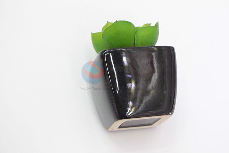 Made In China Wholesale Artificial Succulent Plants Home Decoration