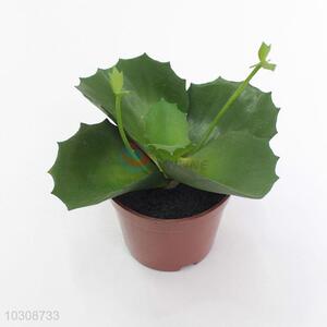 Cute best new style plastic artificial plant bonsai