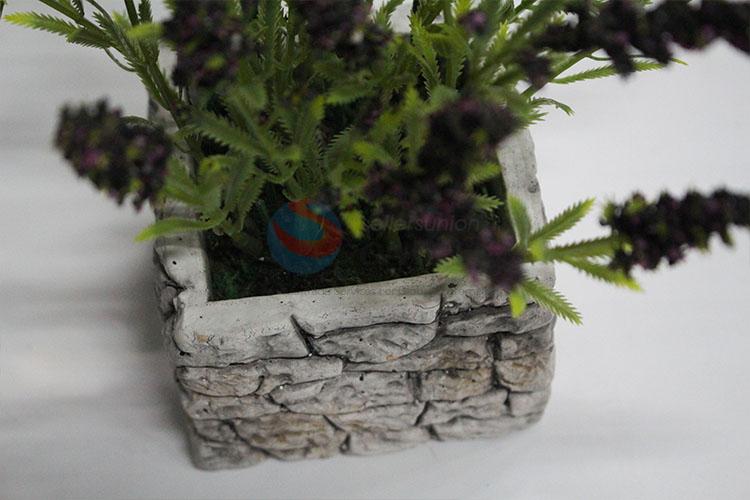 Latest arrival bubble lavender bonsai