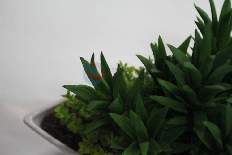 Top selling plastic fake succulent plants bonsai