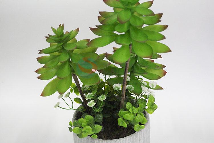 Popular promotional artificial succulent plants bonsai