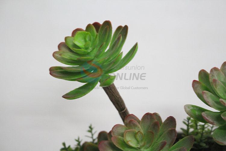 Hot sale plastic succulent plants bonsai