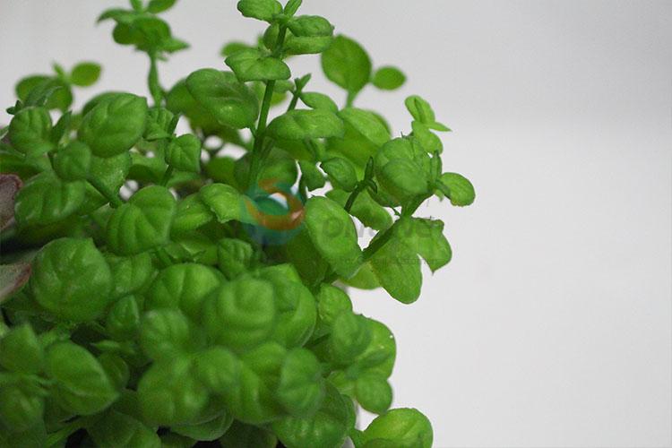 Top quality new style artificial succulent plants bonsai