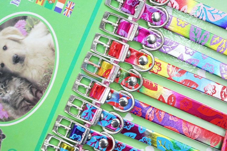 China maker cheap pet fashion collar&leash