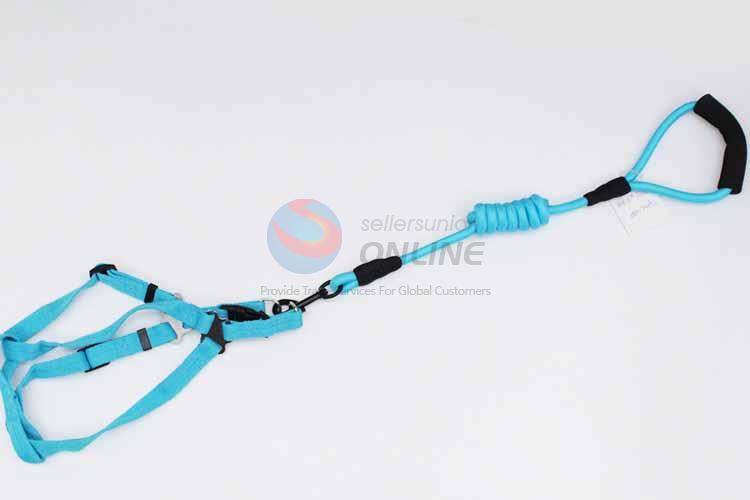 Blue Pet Leash/Dog Collars Leashes