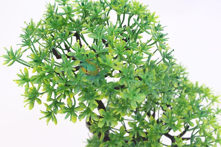 Promottional gift green bonsai plants for sale