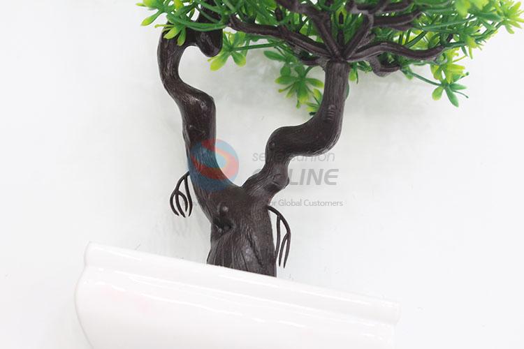 Promottional gift green bonsai plants for sale