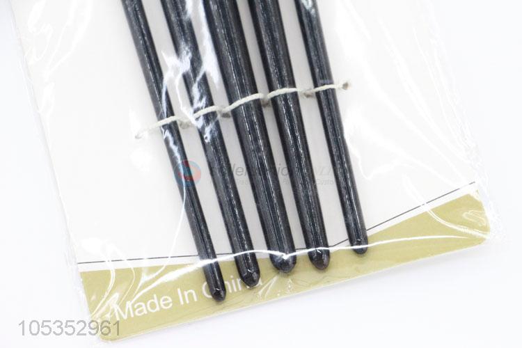 Reasonable Price 5pcs Paint Brushes for Art Student Drawing