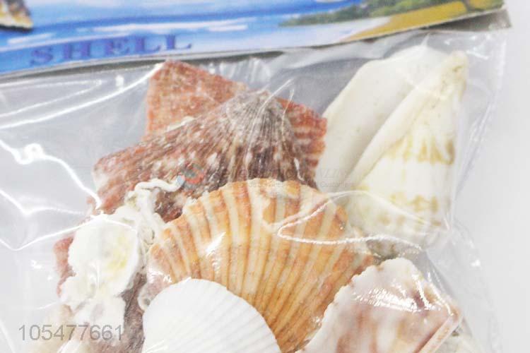 Best Selling Shell/Conch Crafts Fashion Decoration