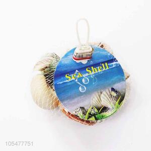 Good Quality Natural Sea Shell Fashion Decorative Craft