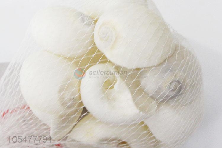 Lovely White Sea Shell Best Shell/Conch Crafts