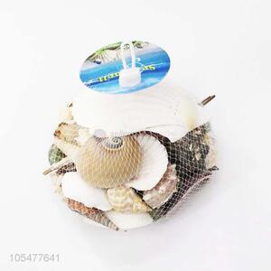 Hot Selling Natural Shell Best Decorative Craft