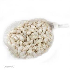 Wholesale Natural Shell Fashion Shell Craft