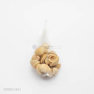 Competitive Price Natural Conch Shells Aquarium Decoration