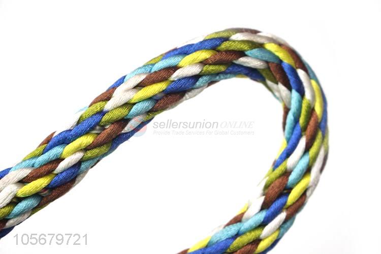 Hot selling dog supplies polyester rope dog leash pet leash