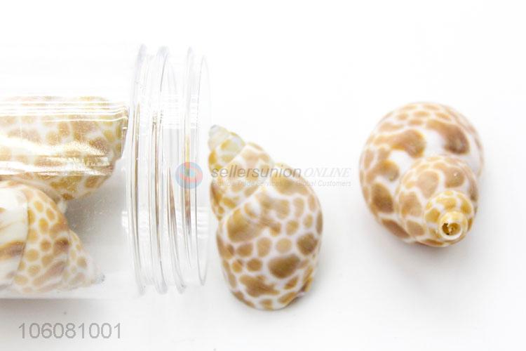 Wholesale natural sea cowrie shells for jewelry craft making accessories