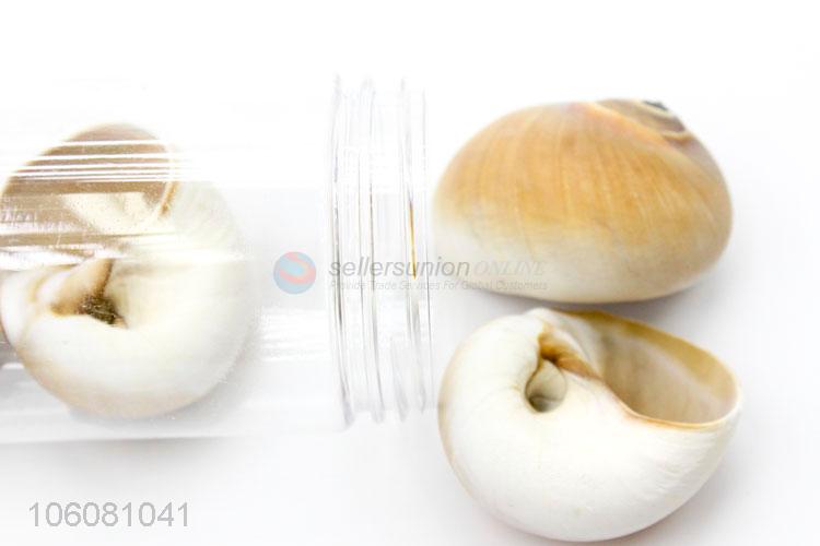 cheap price natural sea shell set fashion shell craft