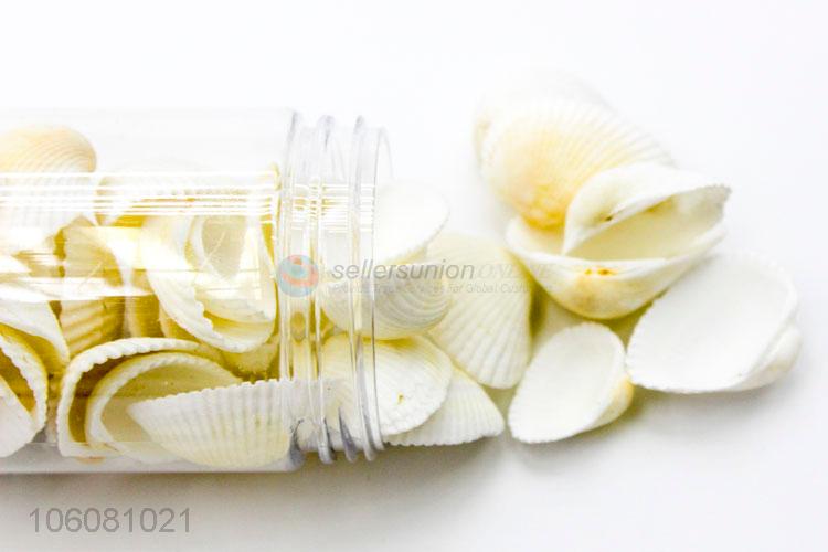 New design sea shells shell craft decor ornaments